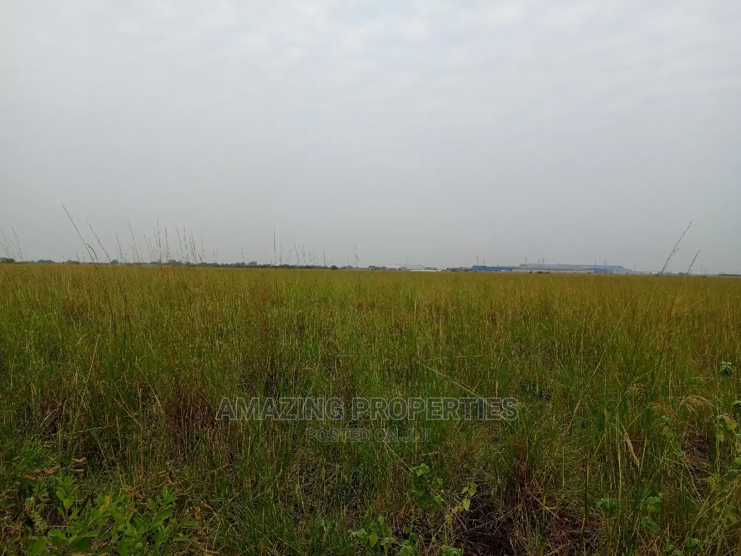 For Sale 3.5 Acres of Industrial Land Klagon Tema Motorway*. in Spintex