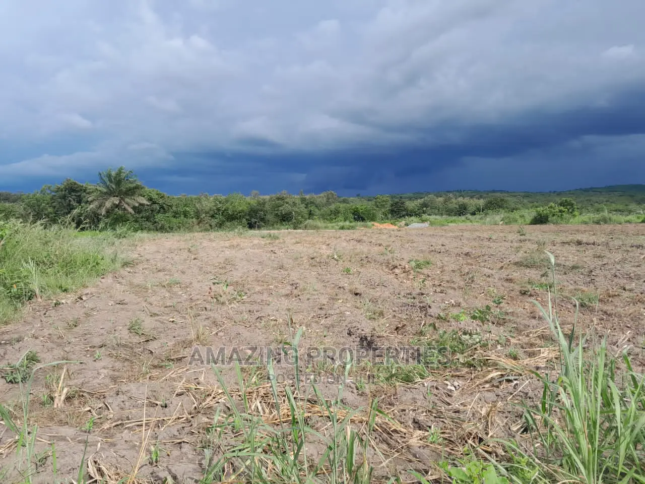 20,000+ Acres Farm /Agricultural Land Adaklu, Volta Region in Ho Municipal
