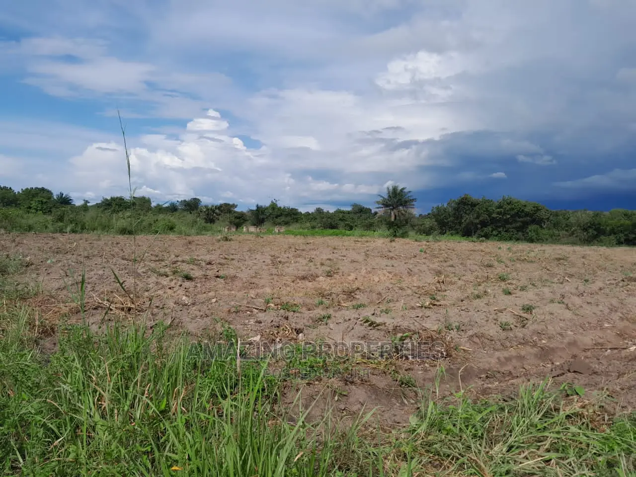 20,000+ Acres Farm /Agricultural Land Adaklu, Volta Region in Ho Municipal
