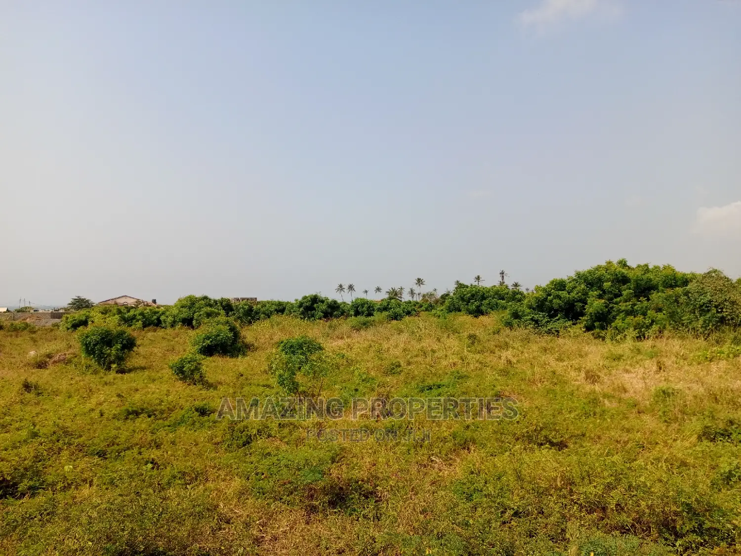 40 Acre Land for Sale at Aburi in Spintex