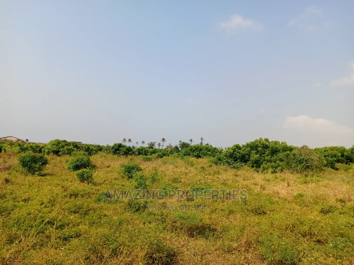 For Sale
100 Acres of Land, Off Tema Aflao Road Behind 5 B in Tema Metropolitan