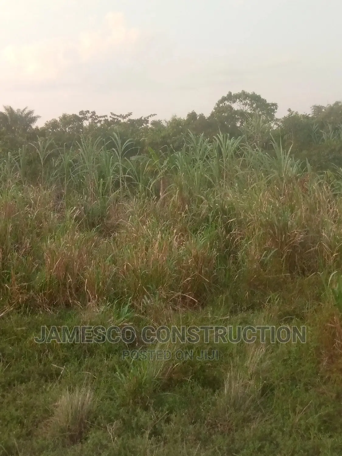 Farms Land in Suhum/Kraboa/Coaltar