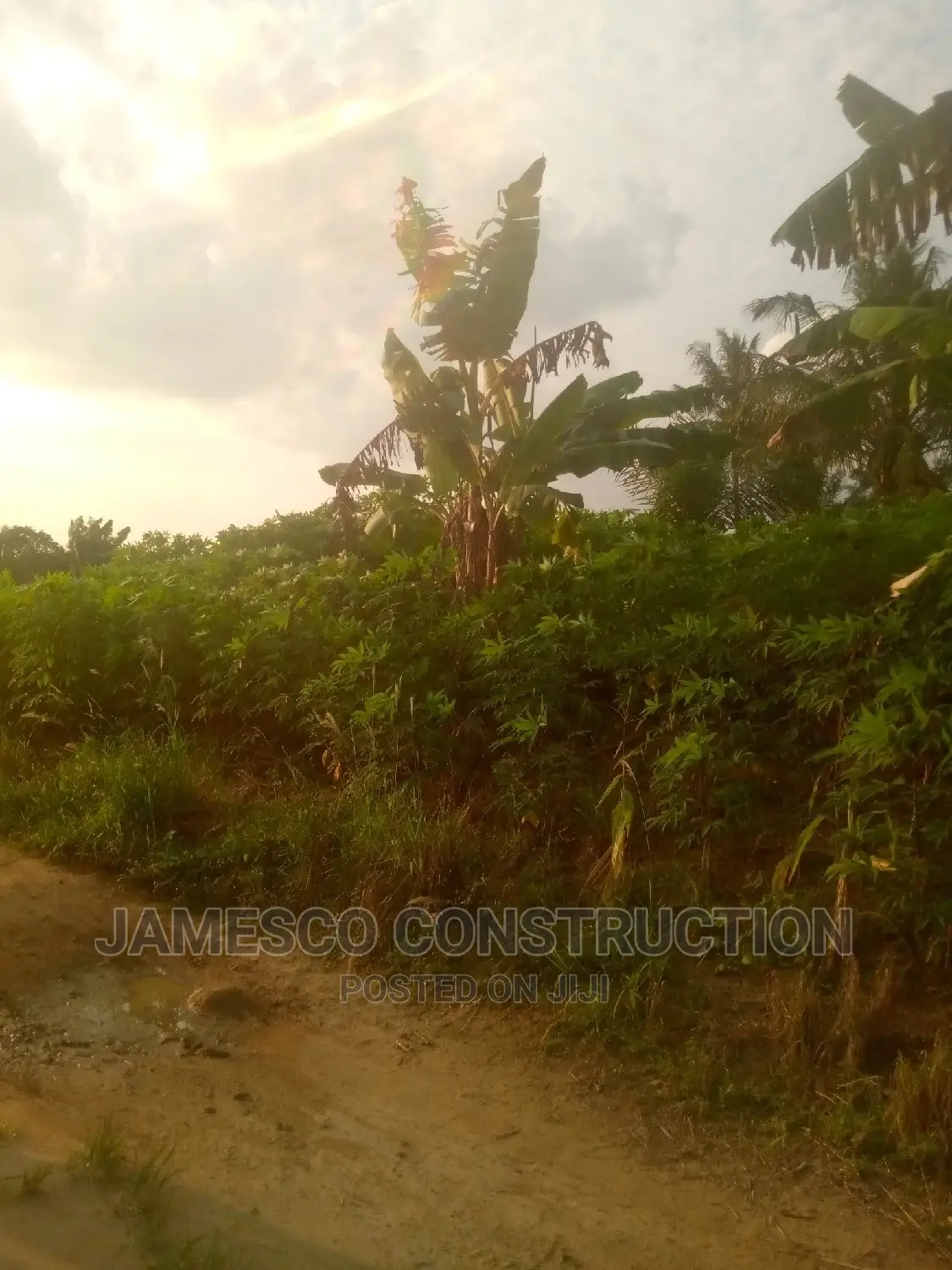 Farms Land in Suhum/Kraboa/Coaltar