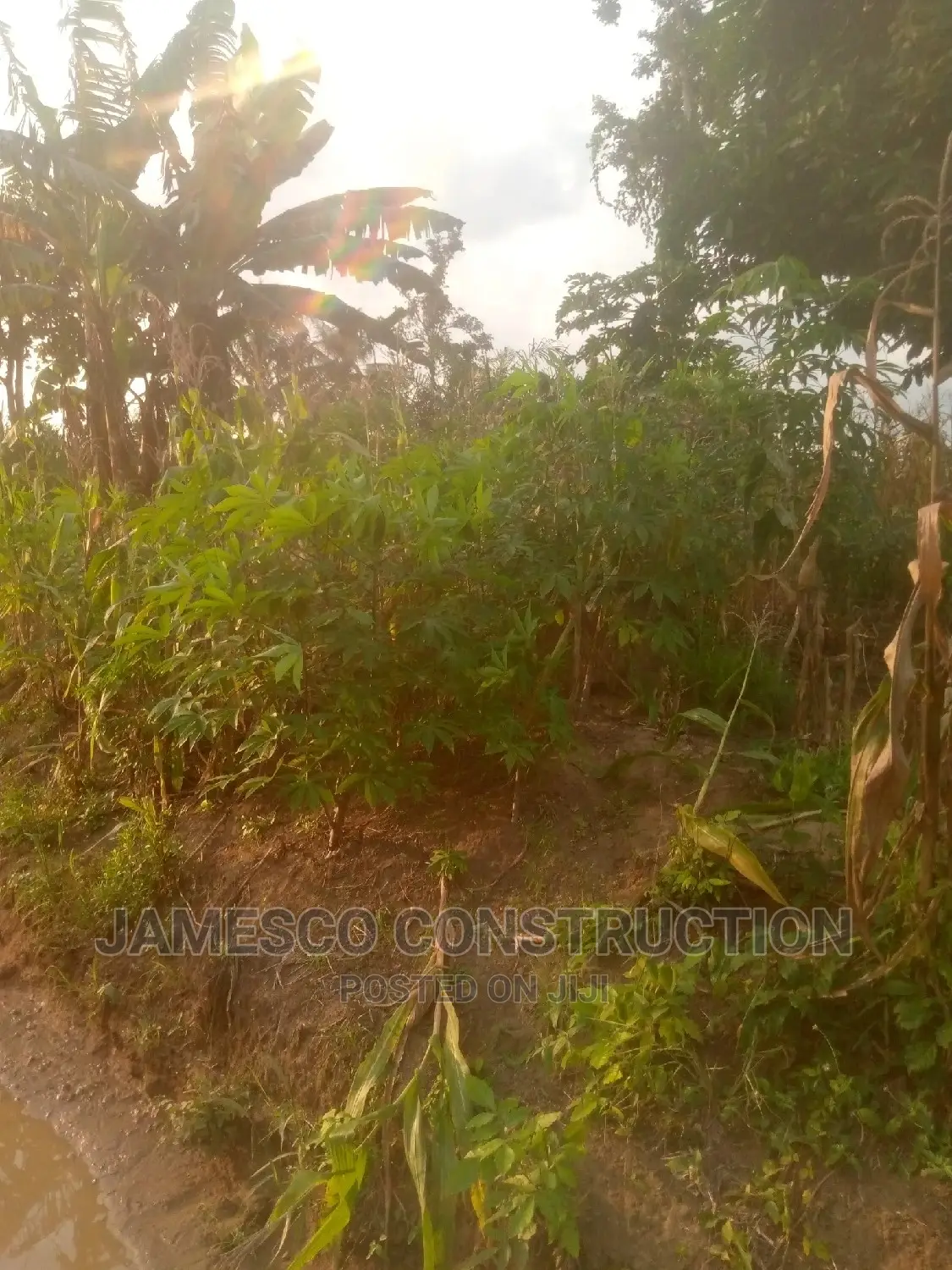 Farms Land in Suhum/Kraboa/Coaltar