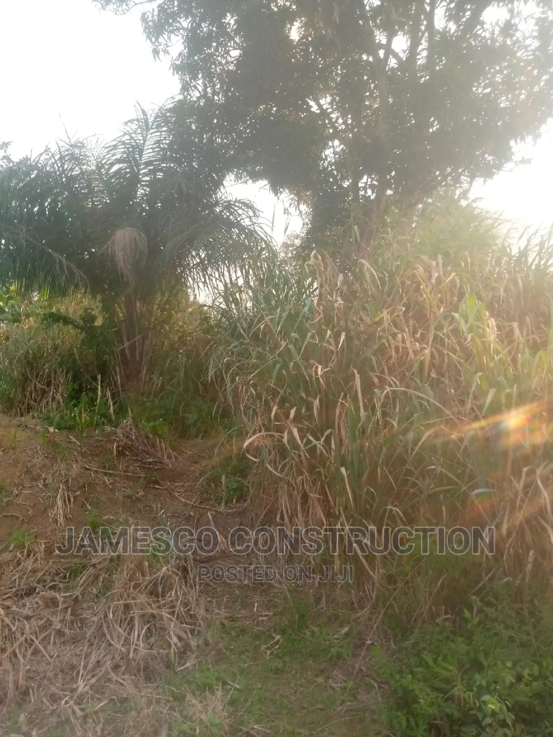 Farms Land in Suhum/Kraboa/Coaltar
