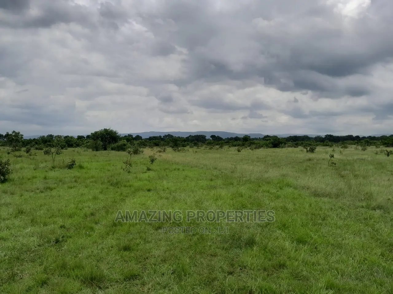 31 Acres of Land Along Borteyman Road in Adenta