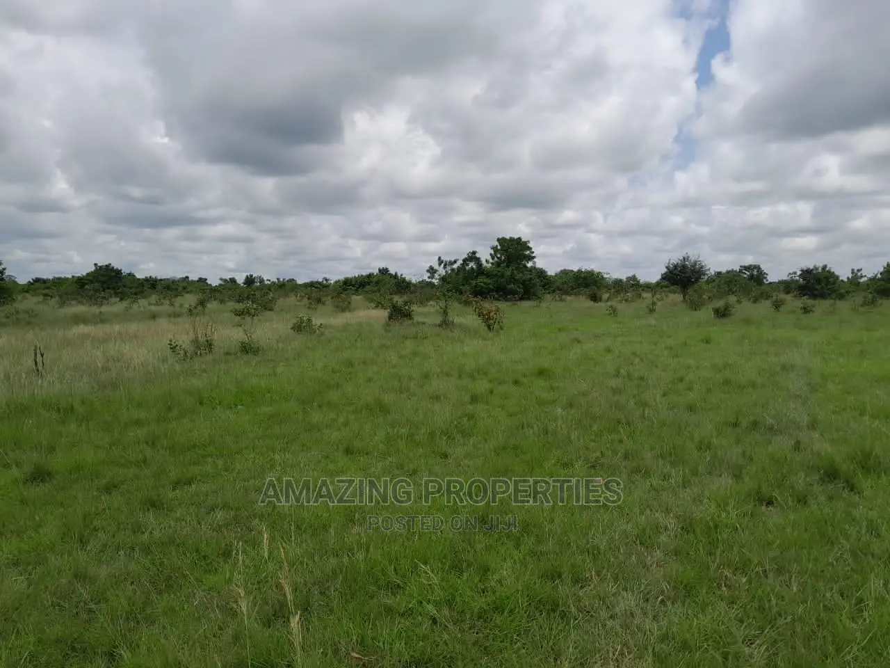 31 Acres of Land for Sale at Ayi Mensah in Abokobi
