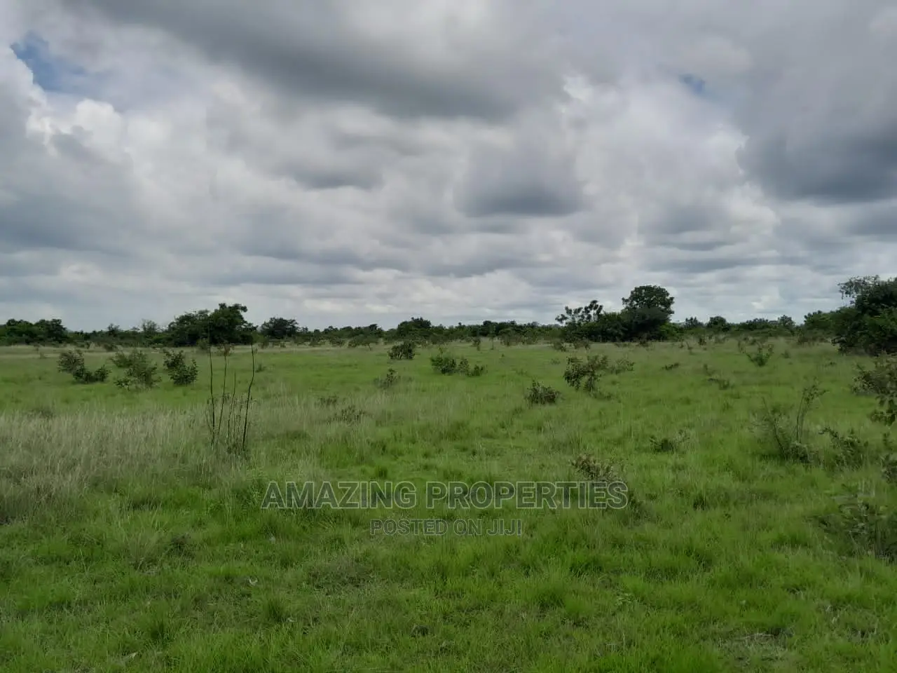 31 Acres of Land for Sale at Ayi Mensah in Abokobi