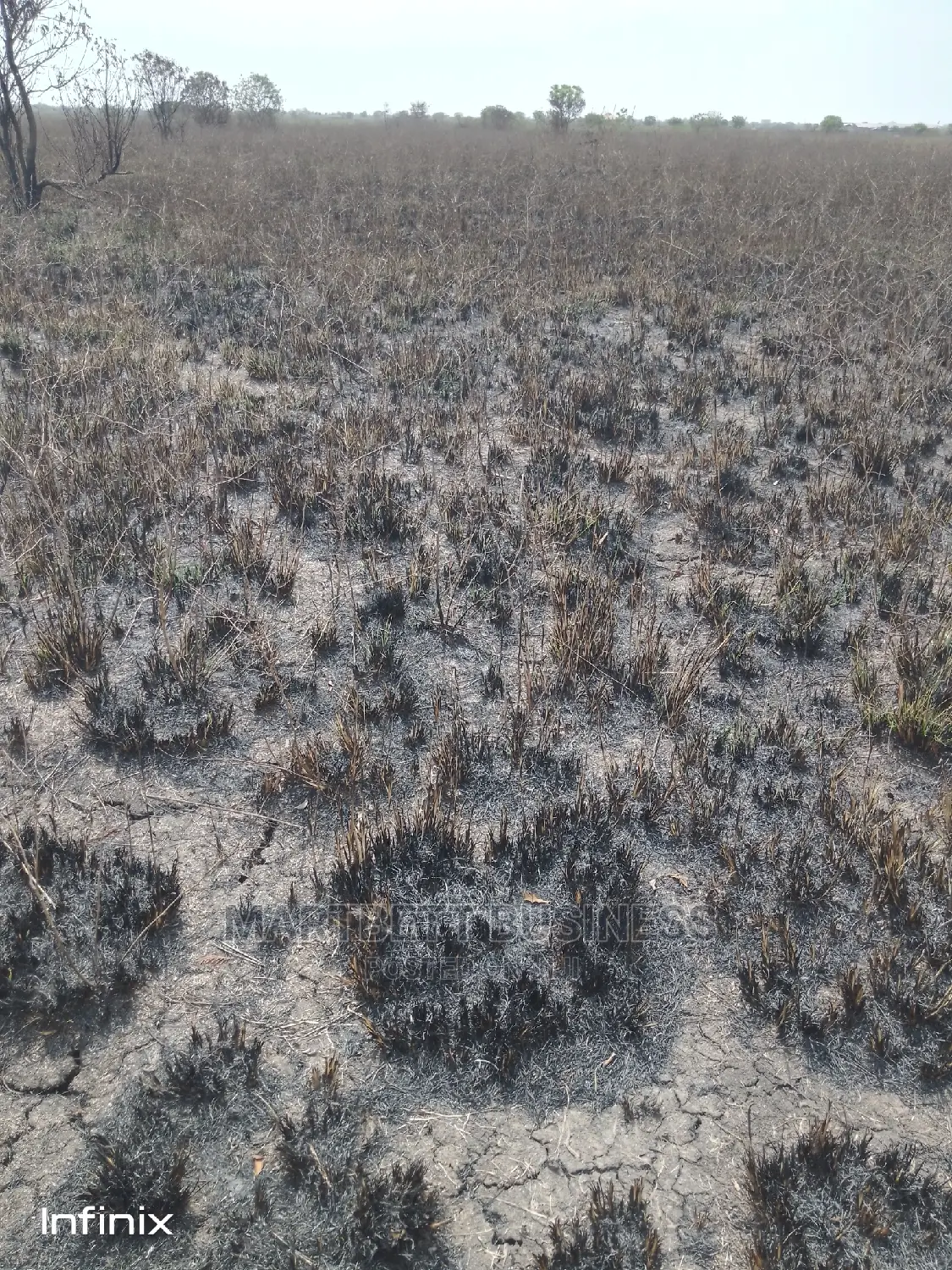 70 by 100 Titled and Genuine Land at Dawhenya in Tema Metropolitan