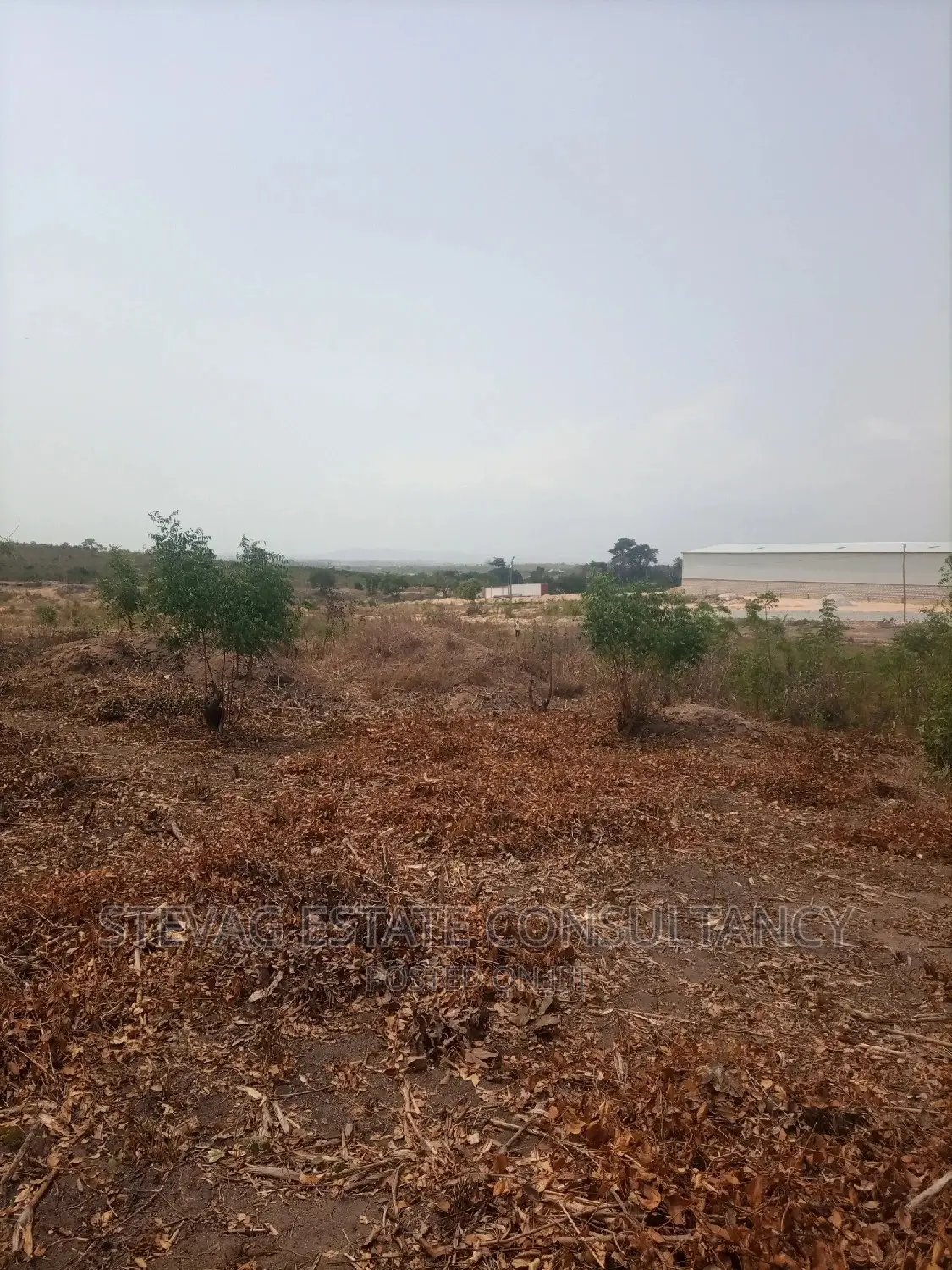 Alpha Properties Estate Land for Sale at Akoti Kweikrom in Awutu Senya East Municipal