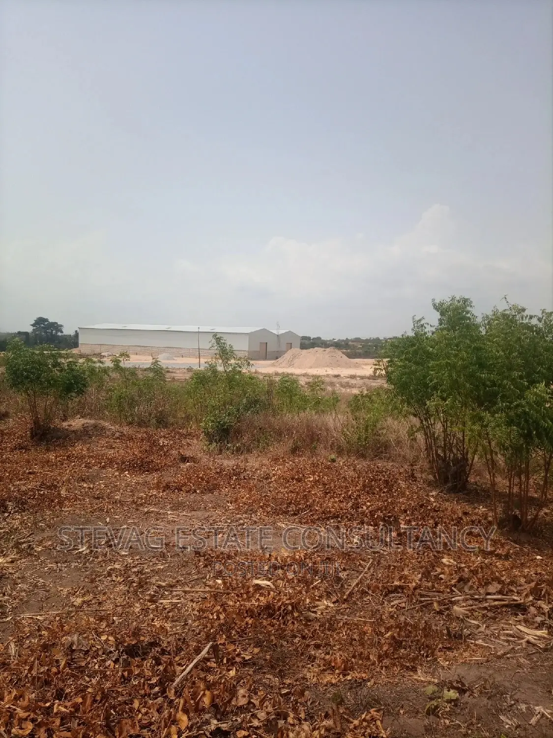 Affordable Estate Company Land for Sale at Winneba Township in Effutu Municipal