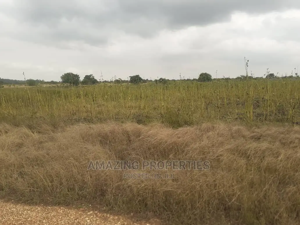 100 Acres of Land at SOMANYA in Spintex