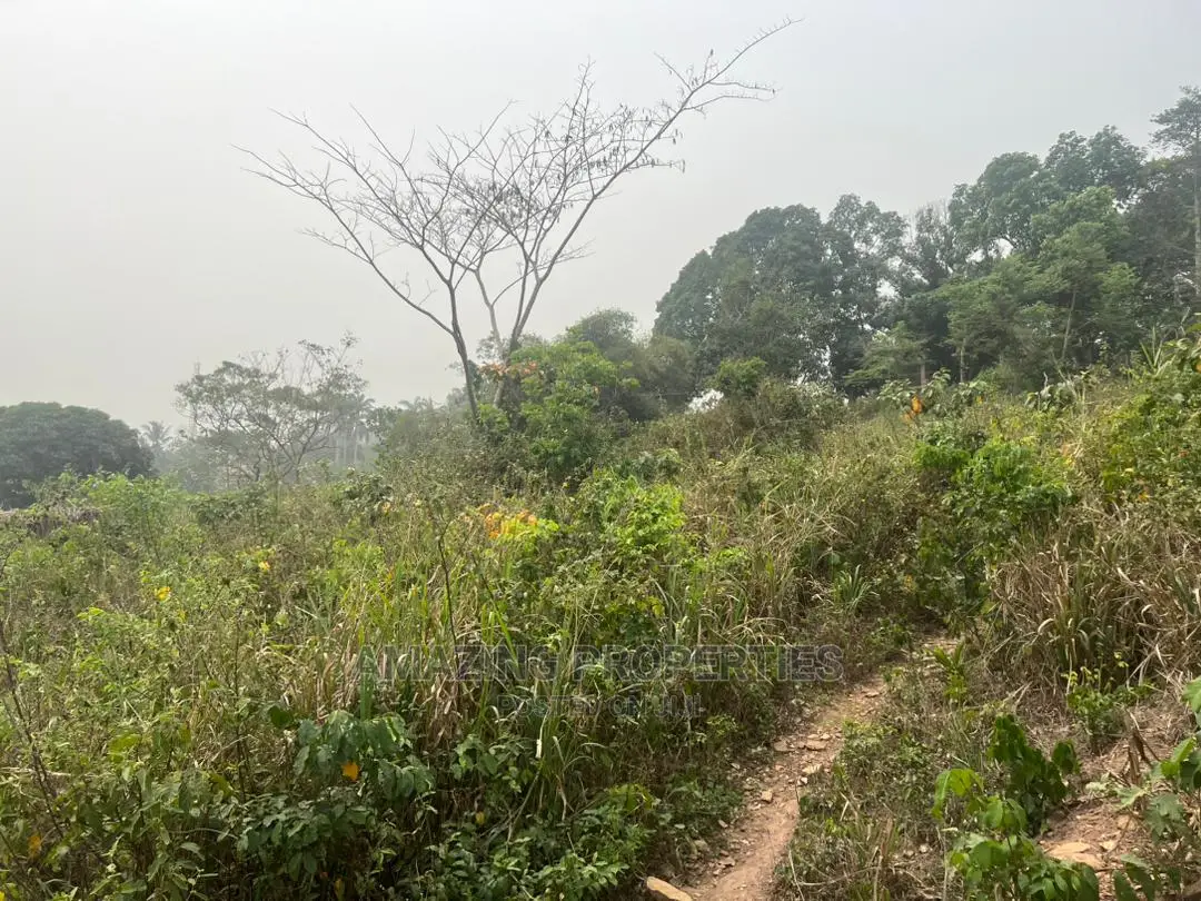 12 Acres of Land Located Right Opposite Aburi Girls SHS. in East Akim Municipal