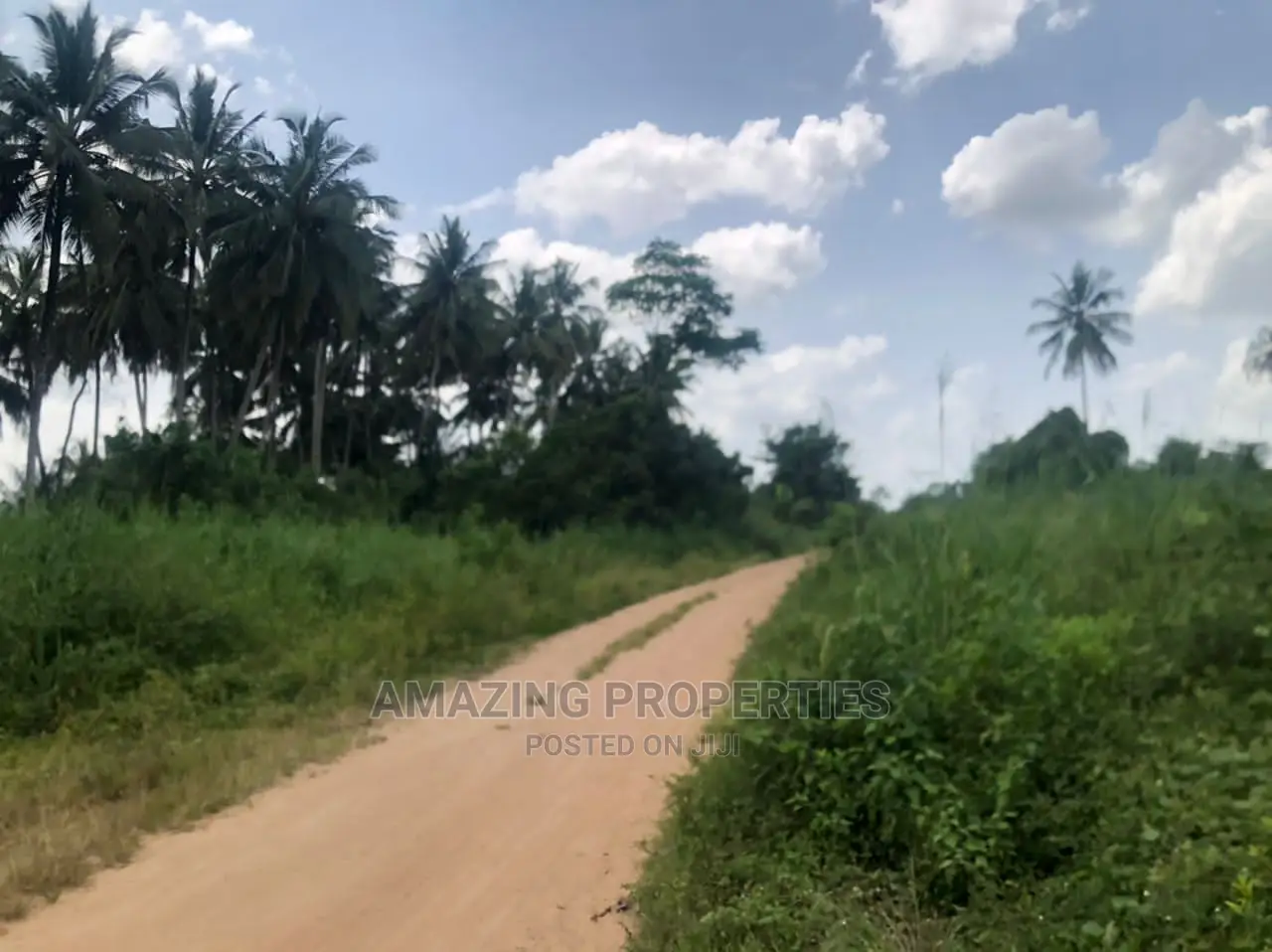 8000 Acres of Land at Asamankese in East Akim Municipal