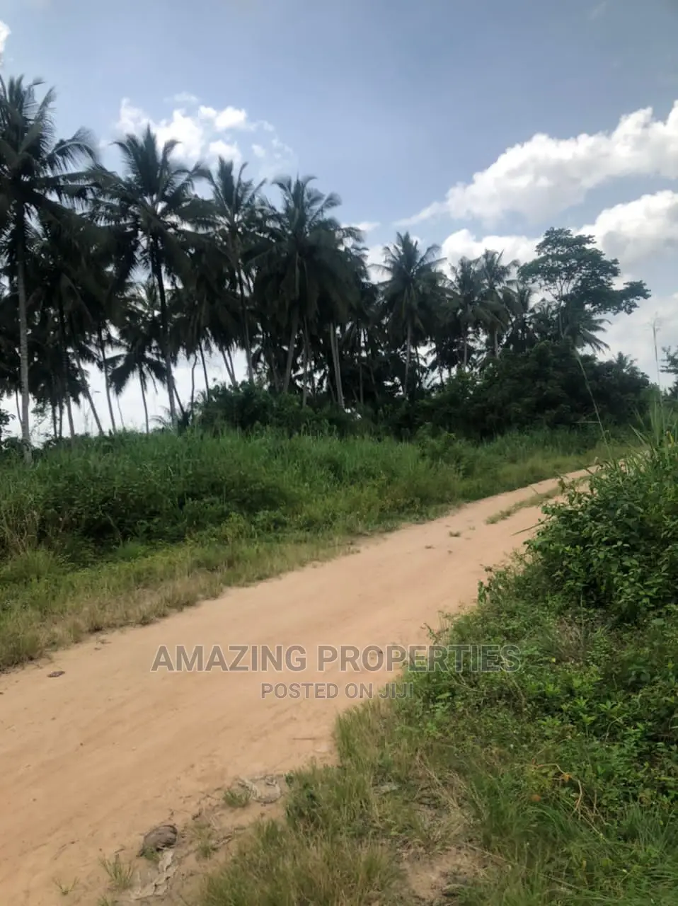 8000 Acres of Land at Asamankese in East Akim Municipal