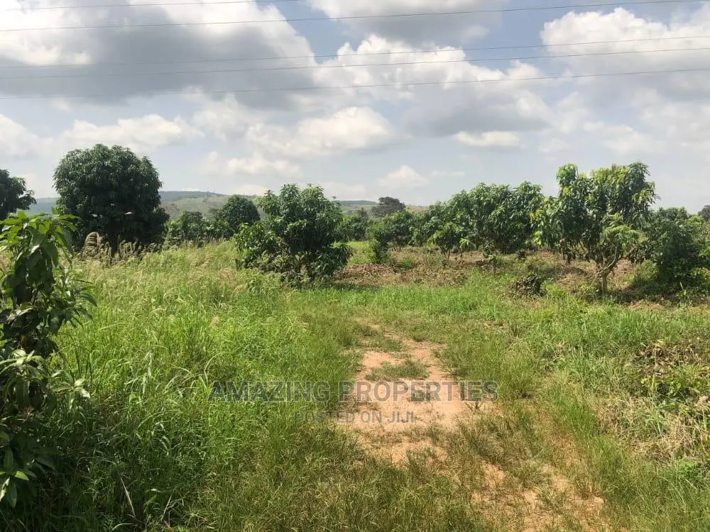 40 Acres of Land at Ashiyie in East Legon