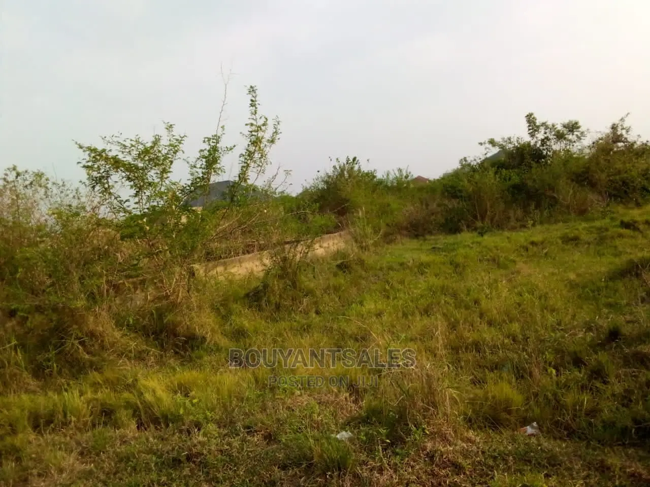 3 Plots of Land for Sale at Asabahan Mango Line in Kasoa
