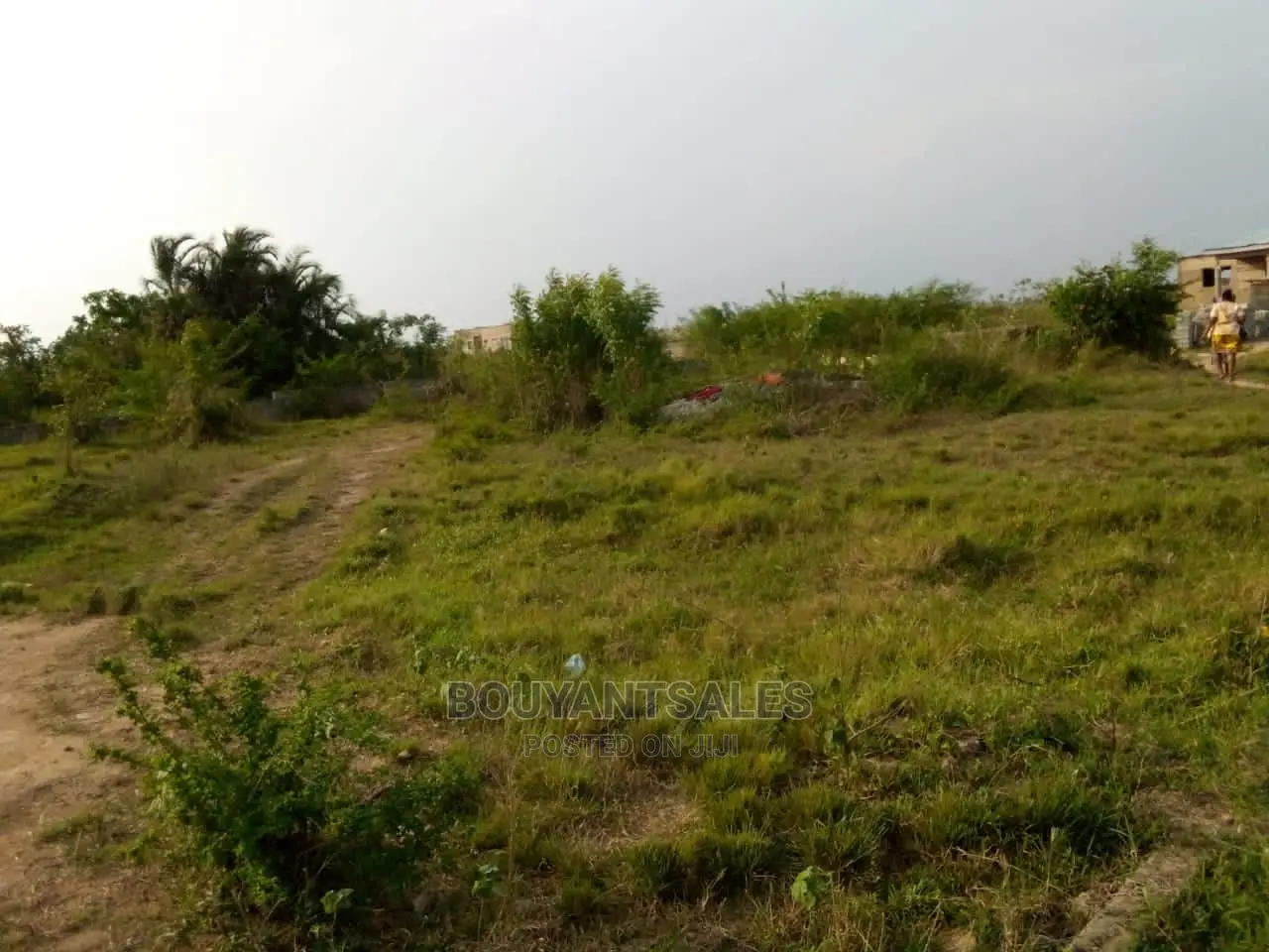 3 Plots of Land for Sale at Asabahan Mango Line in Kasoa