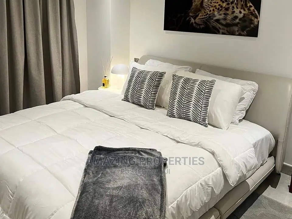 Furnished 2bdrm Apartment in East Legon for Rent in East Legon