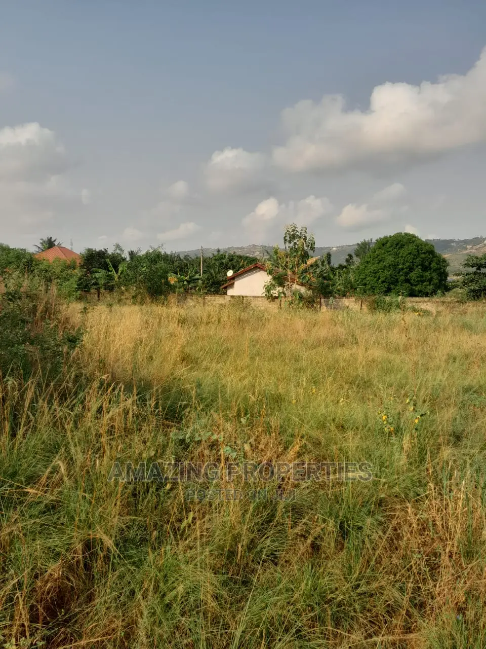 4 Acres Title Land at OSU Around Hospital 1acre Is for Sale in Osu