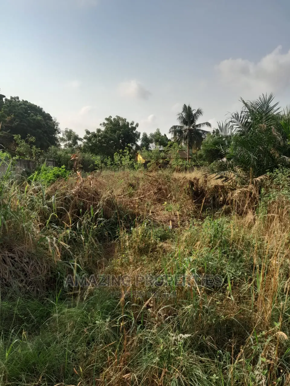 4 Acres Title Land at OSU Around Hospital 1acre Is for Sale in Osu