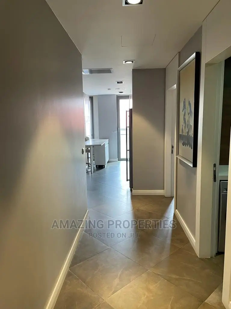 Furnished 2bdrm Apartment in Cantonments for Rent in Cantonments