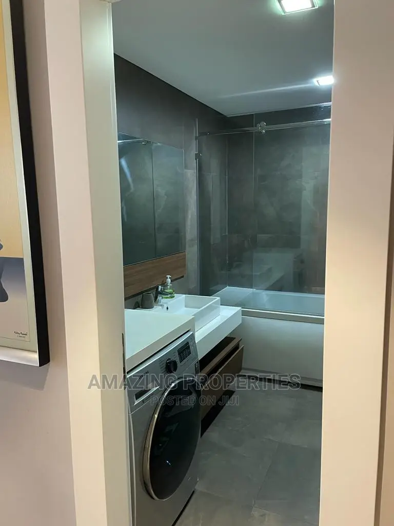 Furnished 2bdrm Apartment in Cantonments for Rent in Cantonments