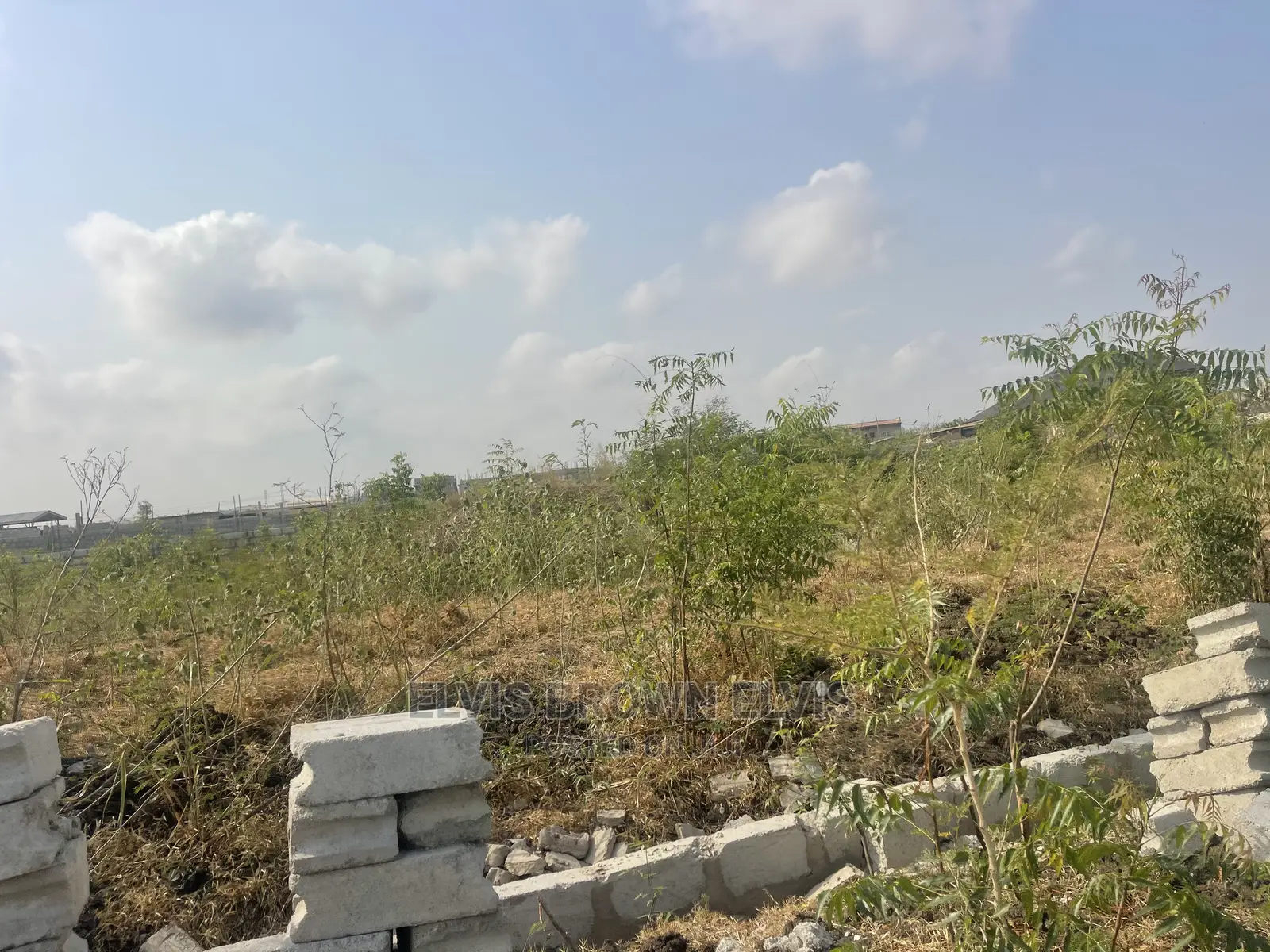 Buy a Genuine Title Land From Me Without Any Litigation in East Legon