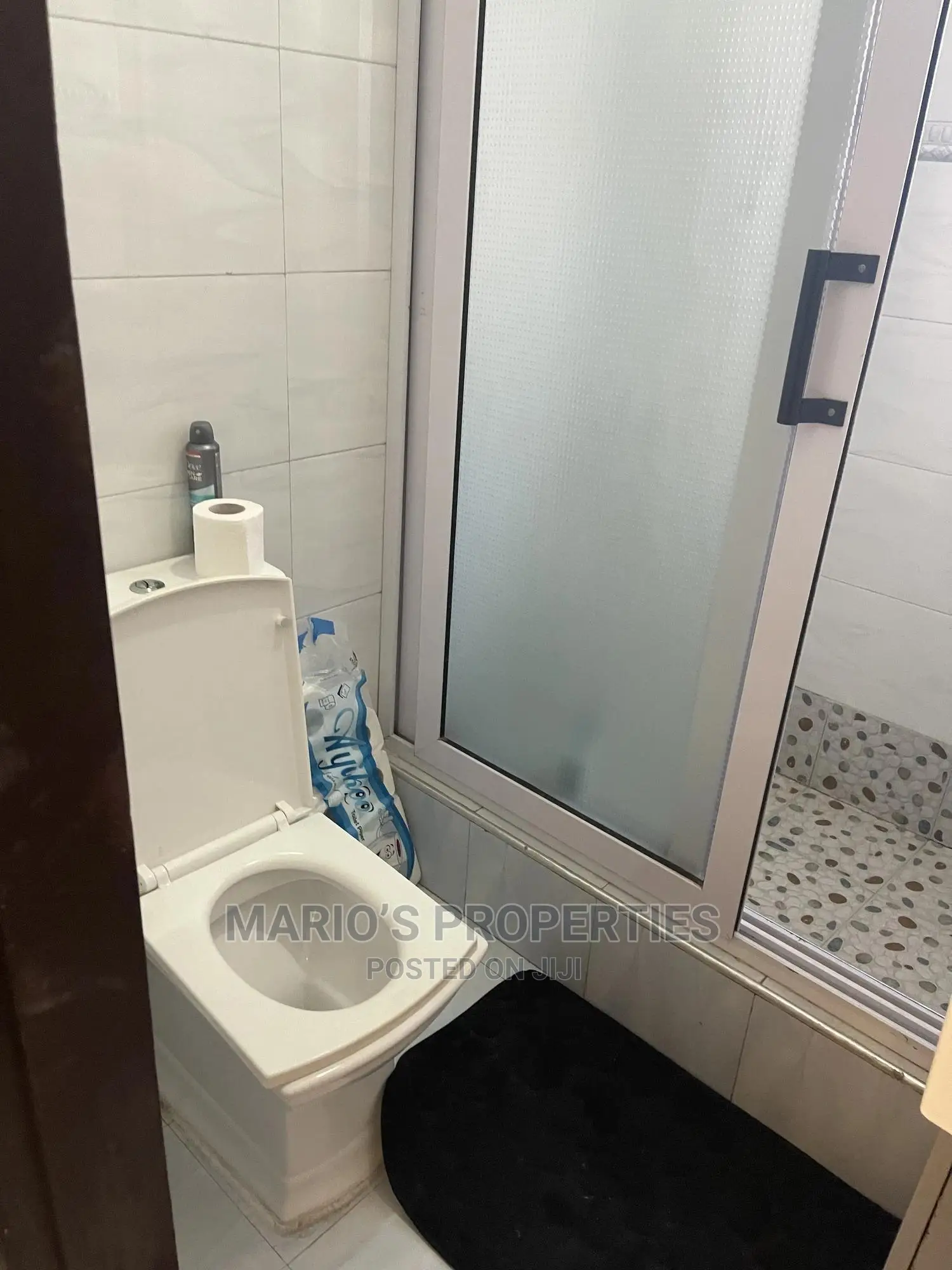 1bdrm Apartment in Marios Properties, American House for rent in American House