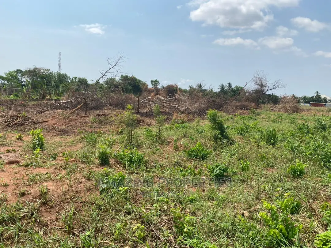 12 Plots of Land for Sale at Ningo Prampram in Tema Metropolitan