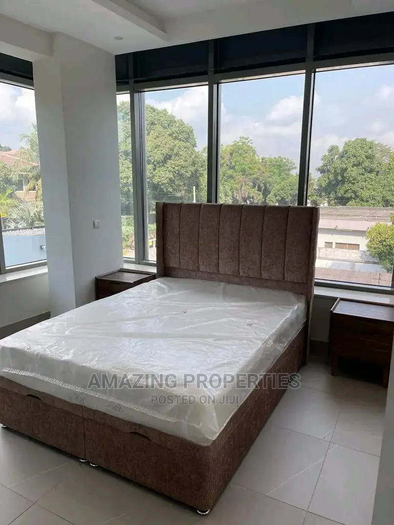 Furnished 2bdrm House in Cantonments for Sale in Cantonments