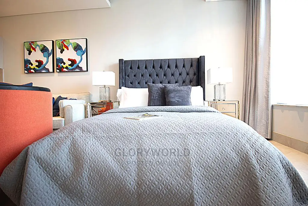 Luxurious Furnished Studio Apartment at Labone in Labone
