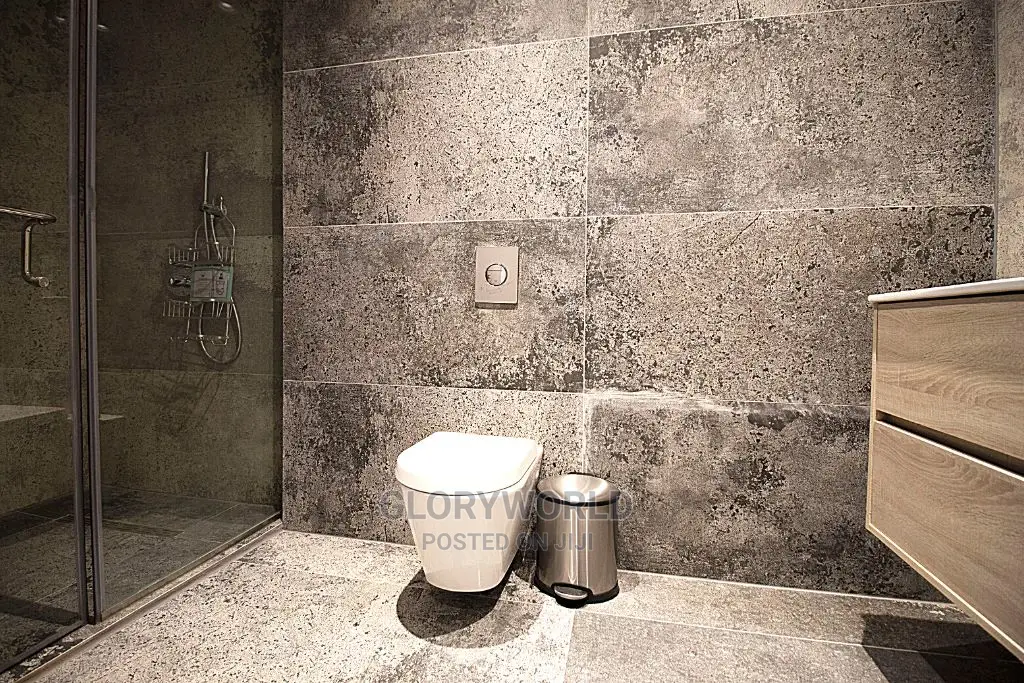 Luxurious Furnished Studio Apartment at Labone in Labone