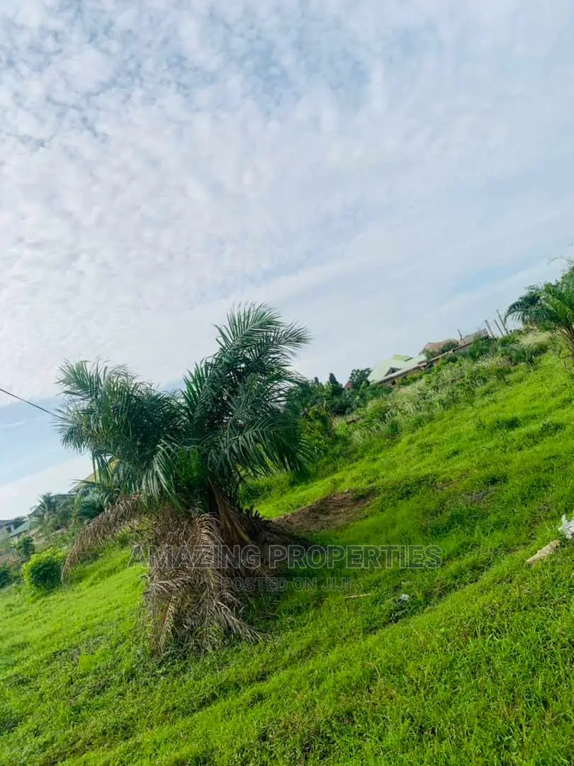 31 Acres of Land at Ayi Mensah in Abokobi