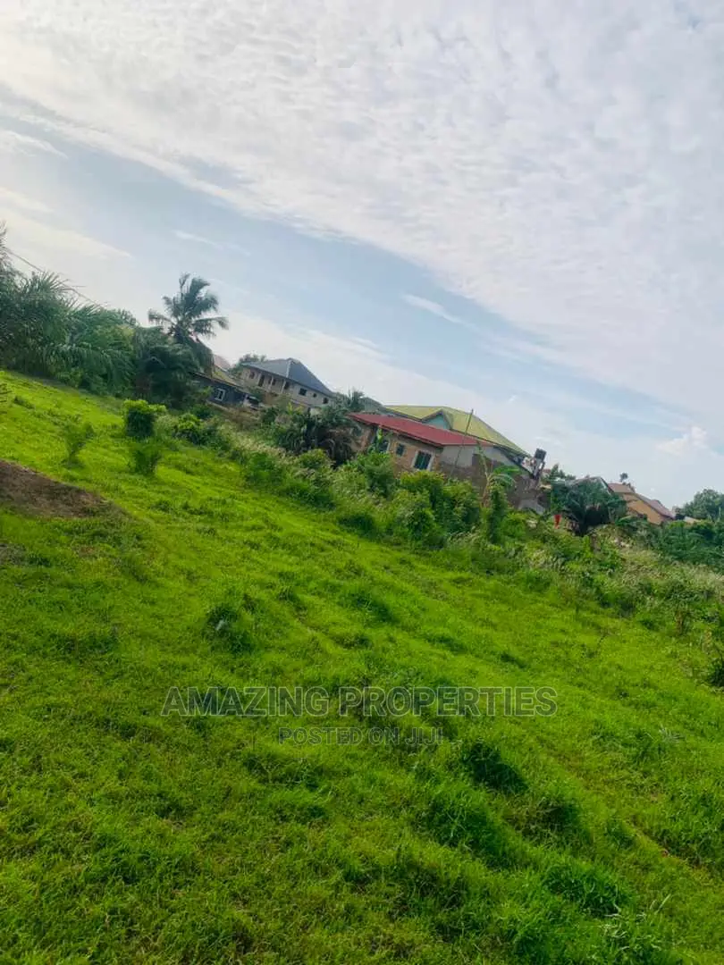 31 Acres of Land at Ayi Mensah in Abokobi