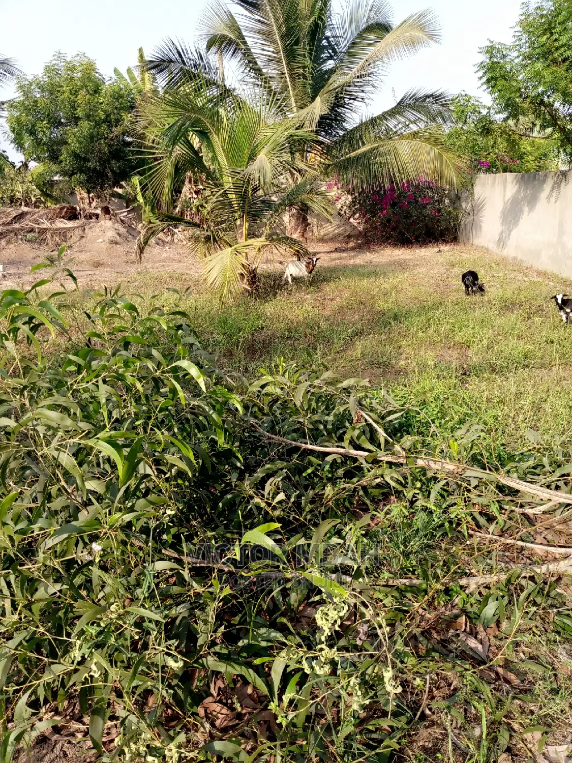 Mixed Beach  Land for Sell in Tema Metropolitan