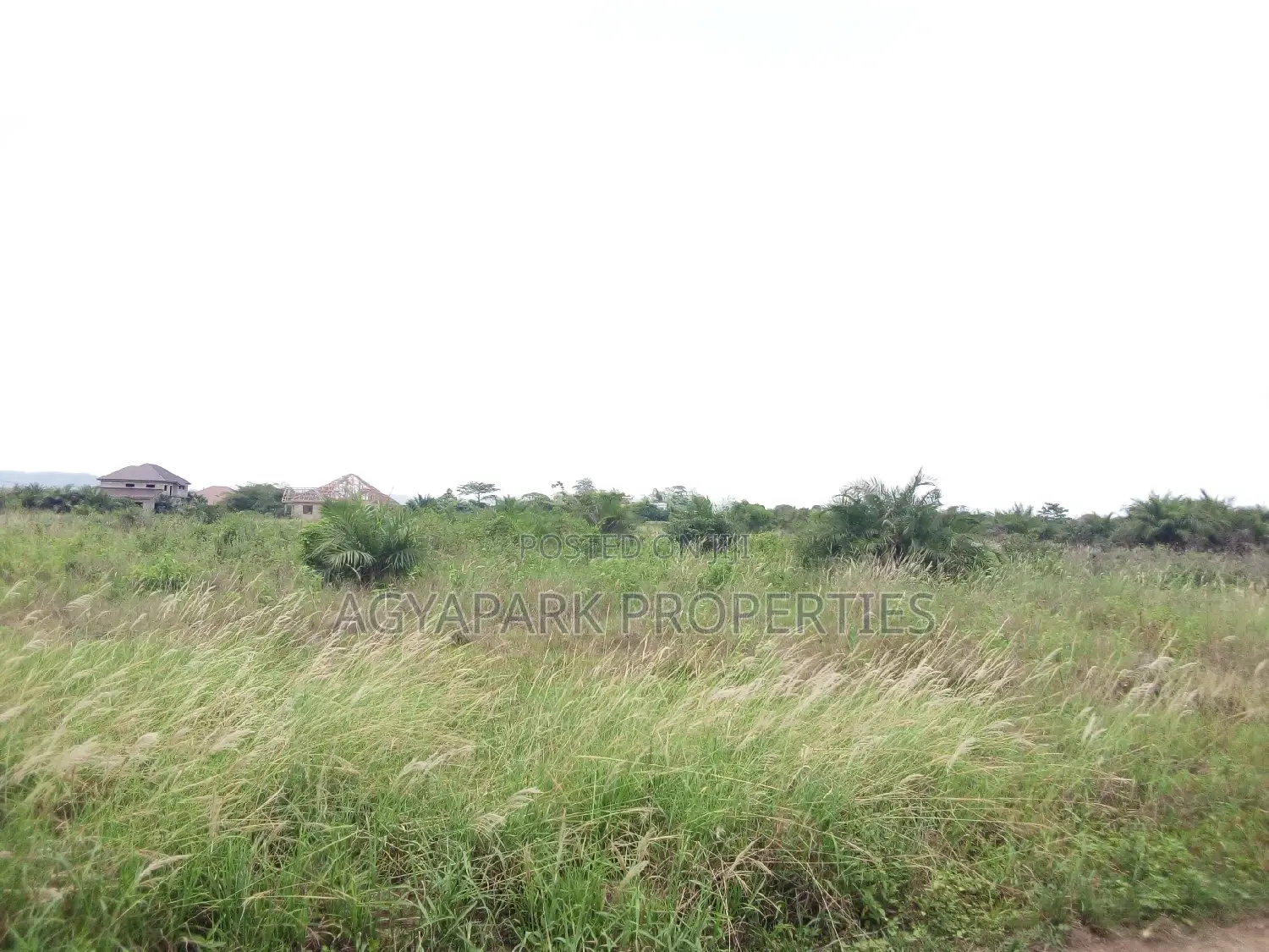 4 Archers of Title Land at Amasaman (Adjen Kotoku) in Ga West Municipal