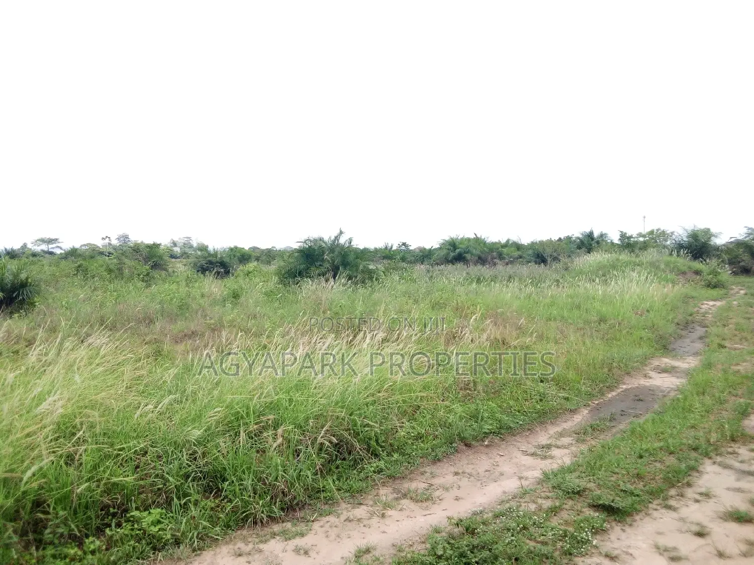 4 Archers of Title Land at Amasaman (Adjen Kotoku) in Ga West Municipal