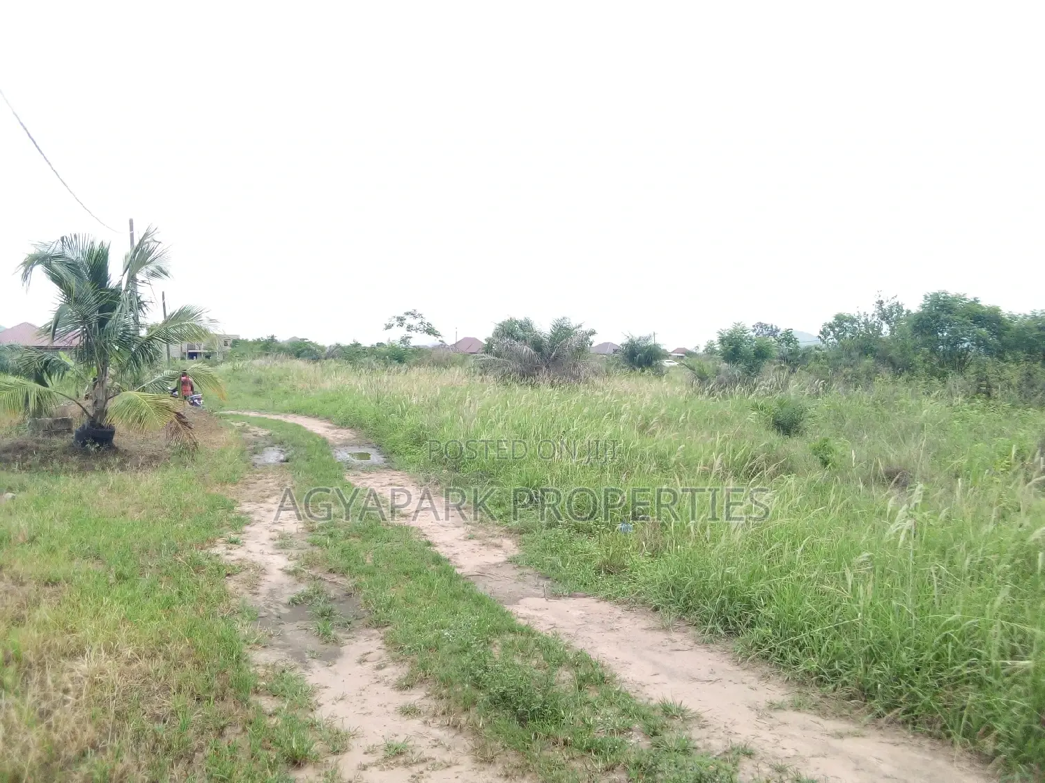 4 Archers of Title Land at Amasaman (Adjen Kotoku) in Ga West Municipal