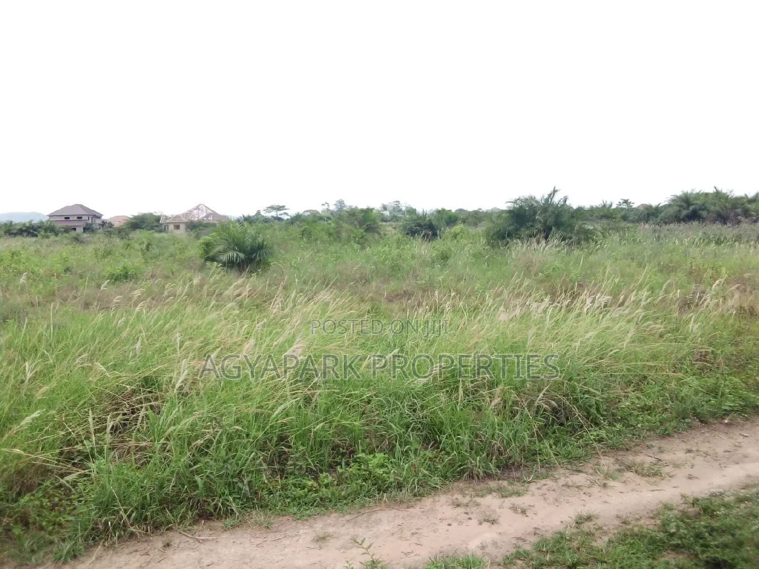 4 Archers of Title Land at Amasaman (Adjen Kotoku) in Ga West Municipal