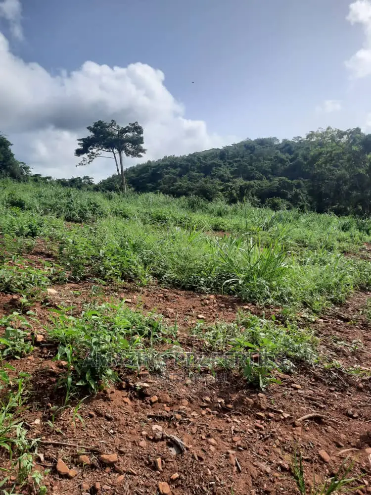 80acres of Land for Sale at Aburi 
 Is Ghc150,000 Per Plots in East Akim Municipal