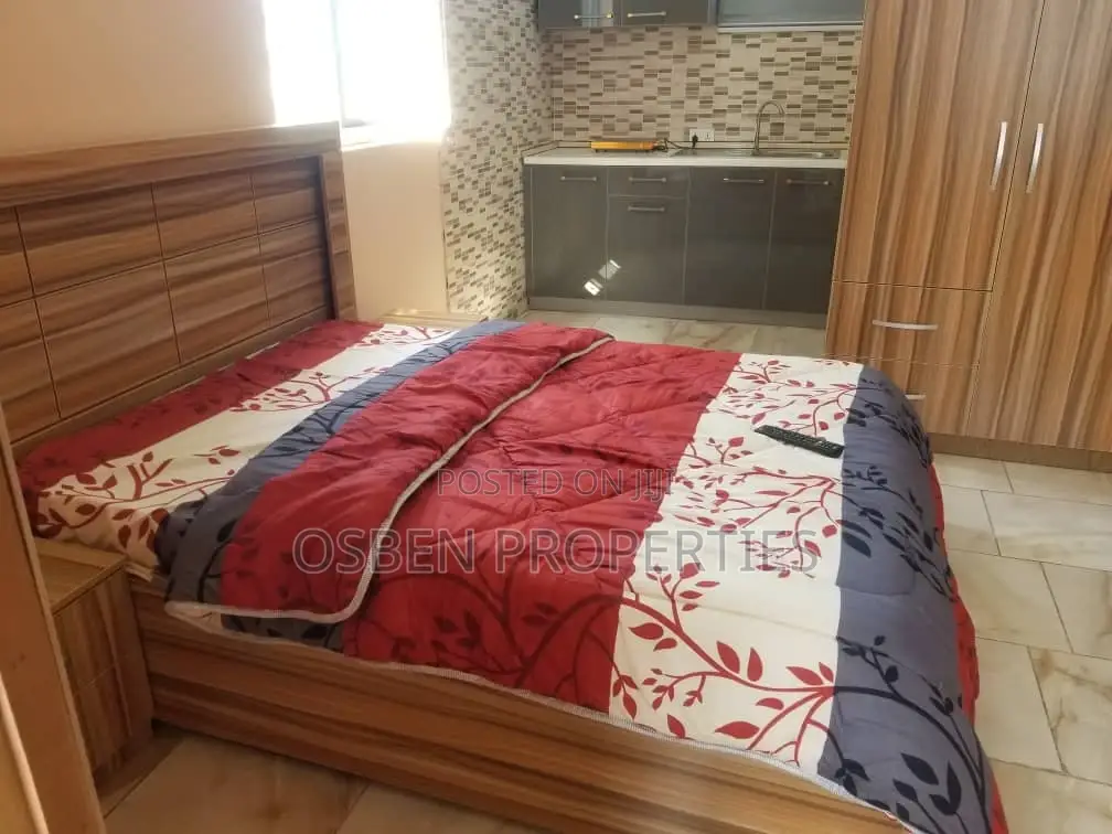 Furnished Studio Apartment in Pleasant Properties, Spintex for Rent in Spintex