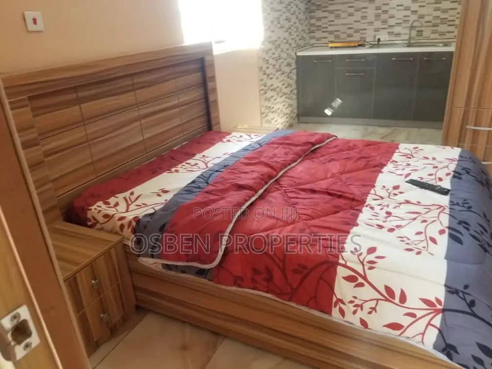 Furnished Studio Apartment in Pleasant Properties, Spintex for Rent in Spintex