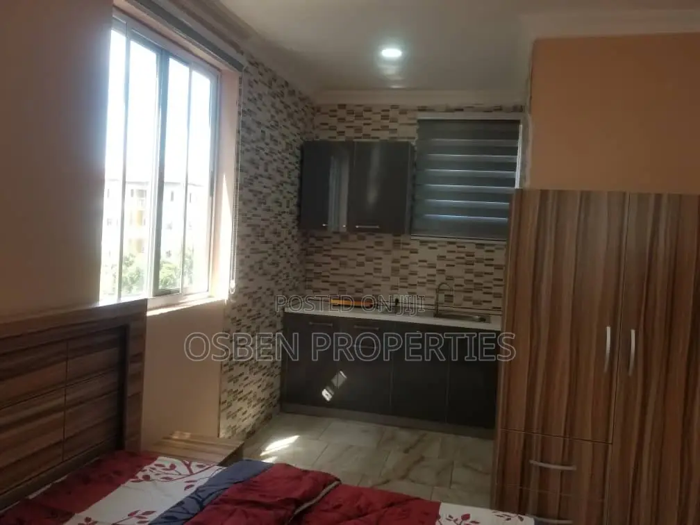 Furnished Studio Apartment in Pleasant Properties, Spintex for Rent in Spintex