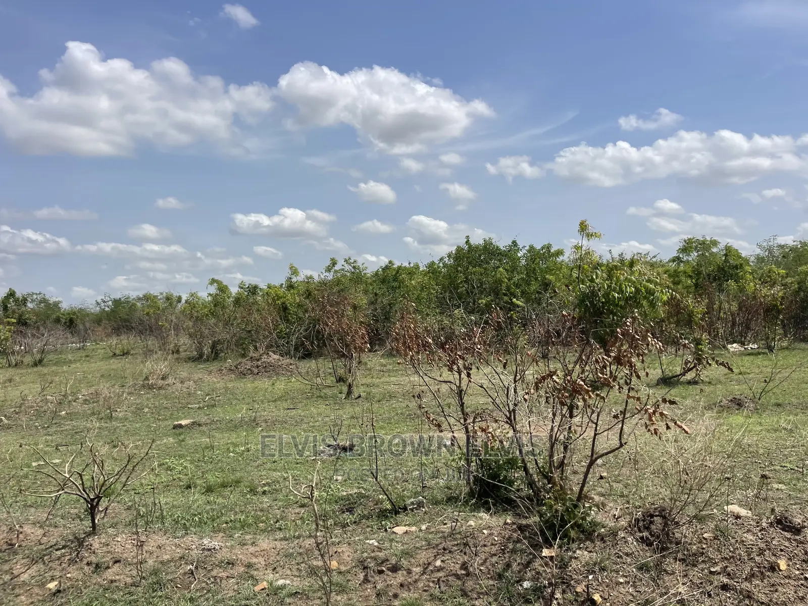 Do You Need a Land to Buy and Also Have a Car to Swap With in East Legon