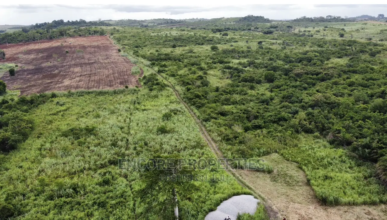 100 Acres of Farm Land Now Selling at Winneba in Awutu Senya East Municipal