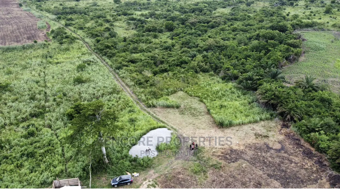 100 Acres of Farm Land Now Selling at Winneba in Awutu Senya East Municipal
