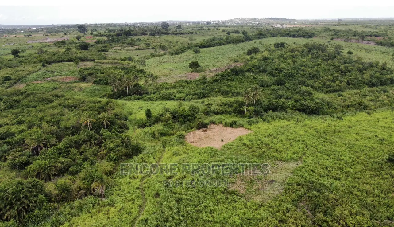 100 Acres of Farm Land Now Selling at Winneba in Awutu Senya East Municipal