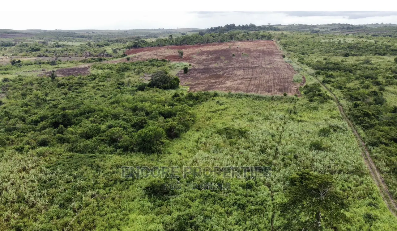100 Acres of Farm Land Now Selling at Winneba in Awutu Senya East Municipal