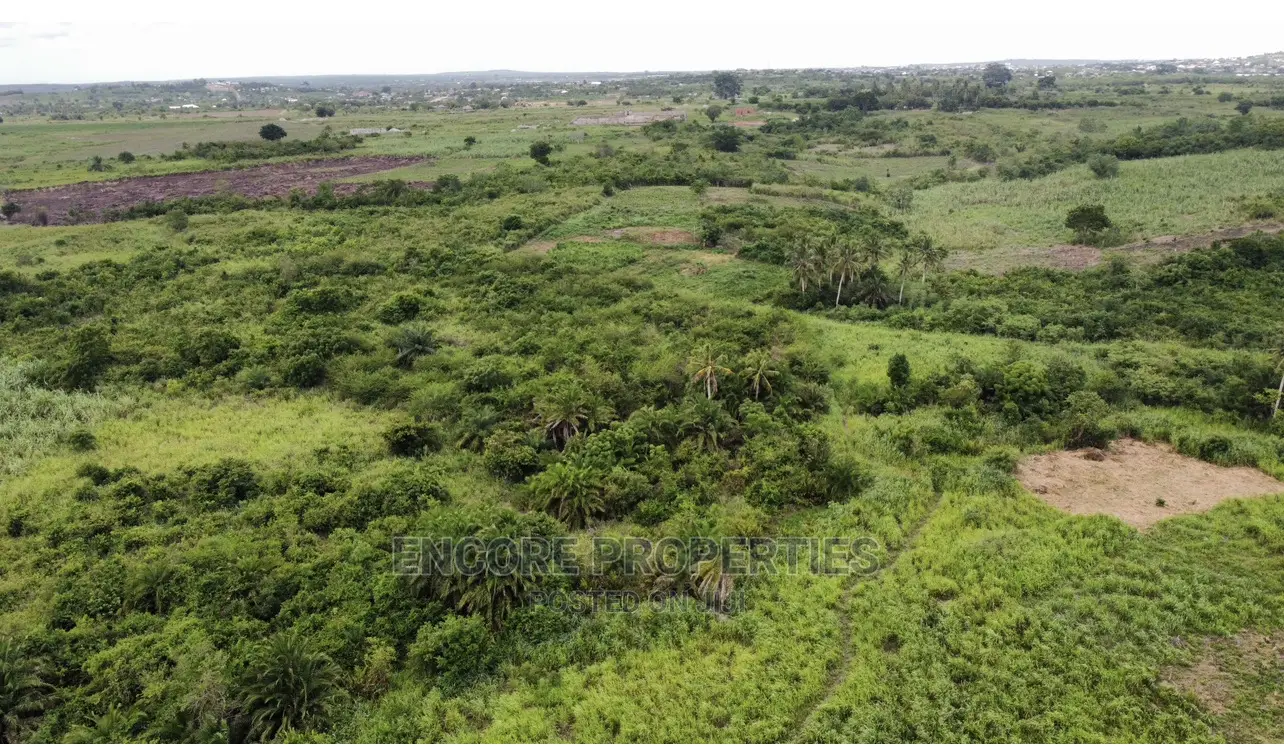 100 Acres of Farm Land Now Selling at Winneba in Awutu Senya East Municipal